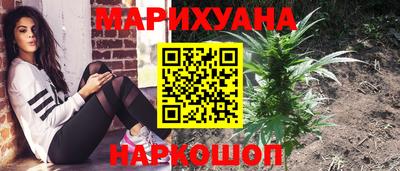 МДПВ Партизанск