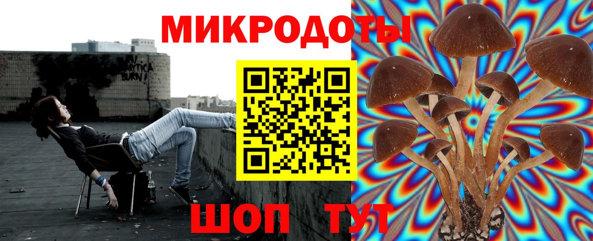 Псилоцибиновые грибы ЛСД Отрадный