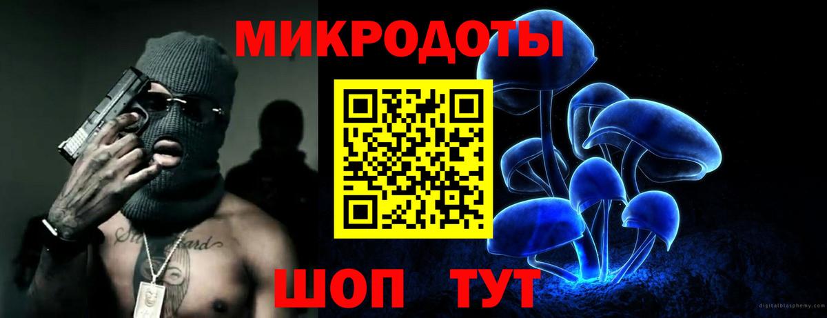 Галлюциногенные грибы Psilocybine cubensis  Вход с VPN  Отрадный 